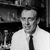 James Dewey Watson (1928 -  )