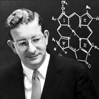 Robert Burns Woodward (1917 - 1979) 